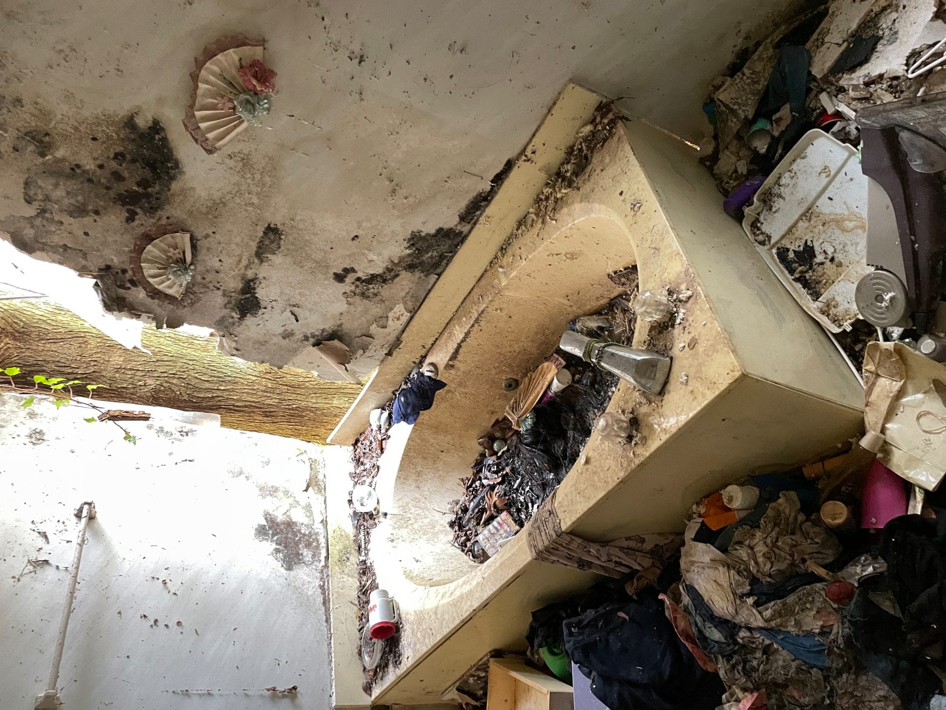 5 types of hoarding 